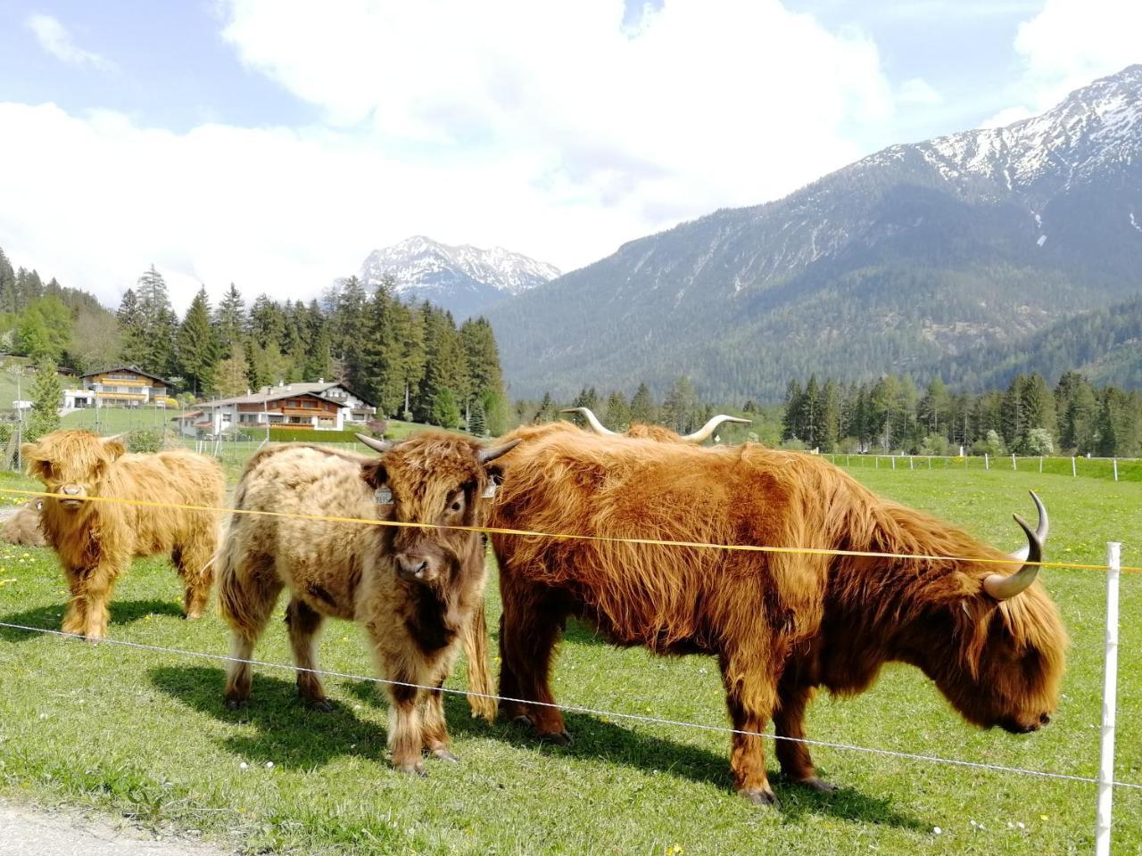 Camping Lechtal Vorderhornbach Dış mekan fotoğraf