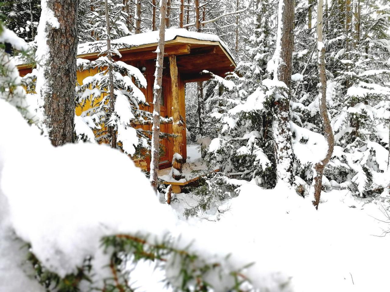 Camping Lechtal Vorderhornbach Dış mekan fotoğraf